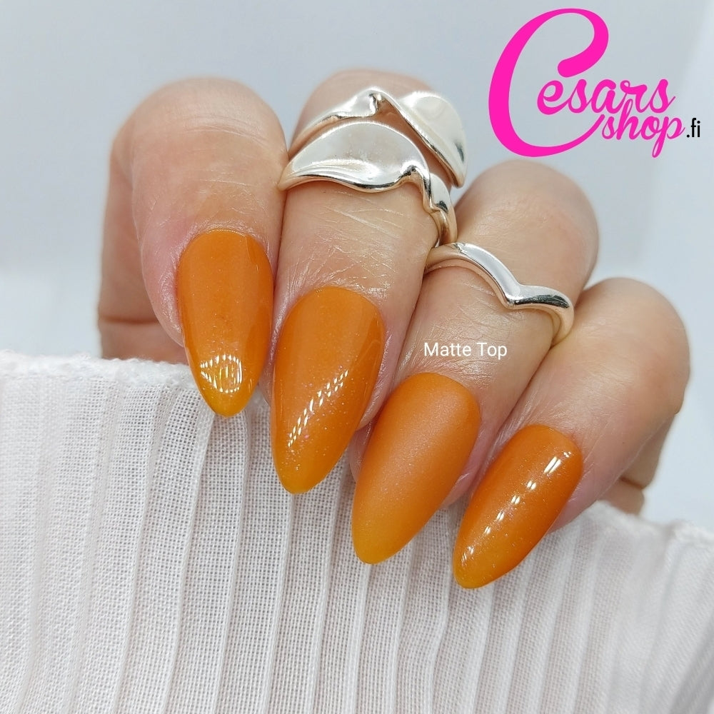 Bluesky Gel polish, Late Bliss