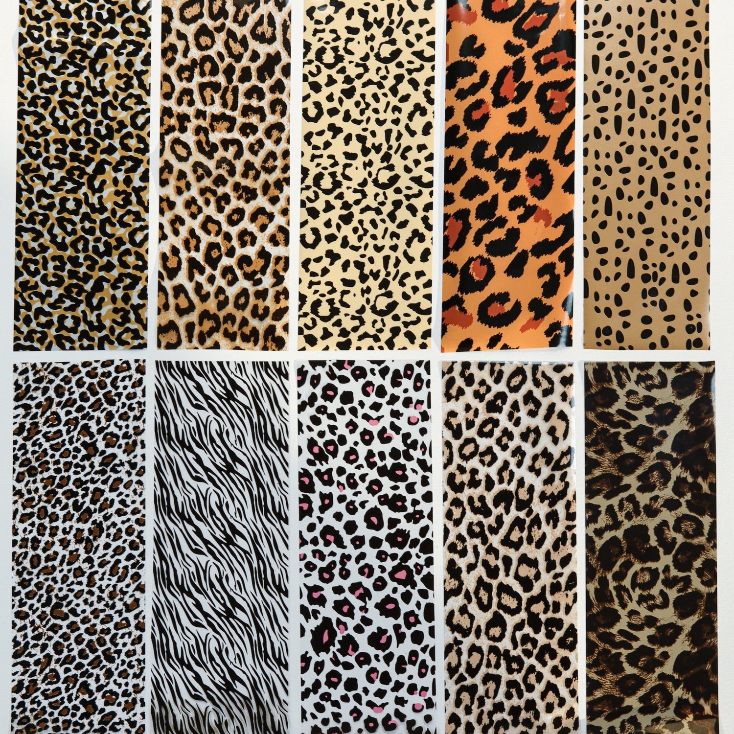 Siirtofoliosetti, Animal