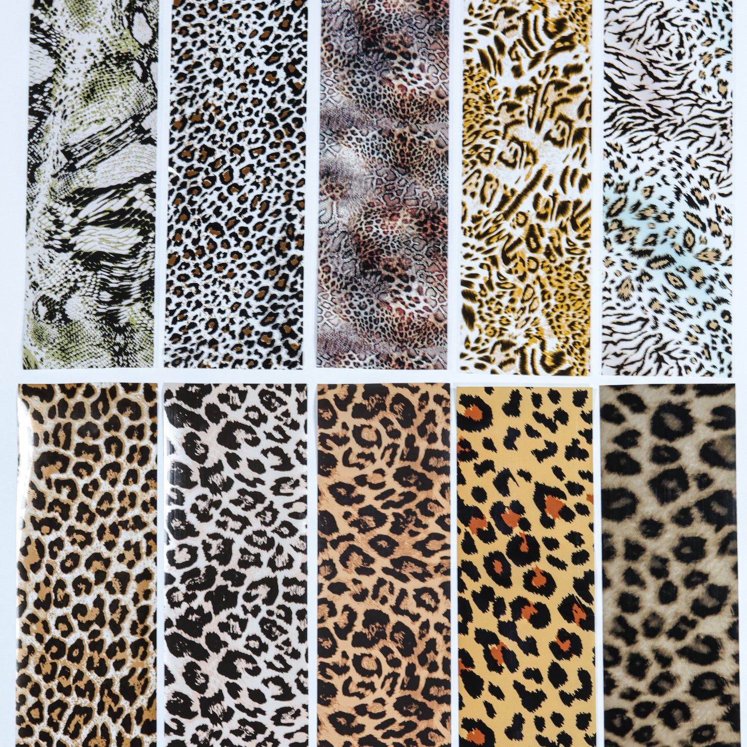 Siirtofoliosetti, Animal