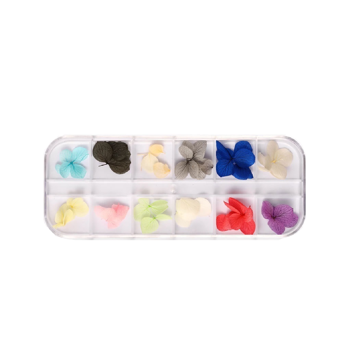 Kuivakukat Rasiassa G