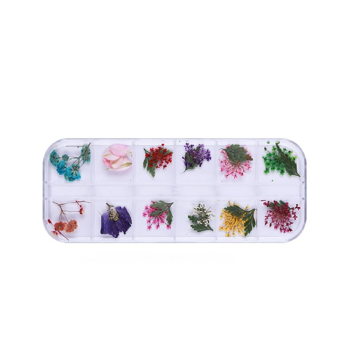 Kuivakukat Rasiassa O