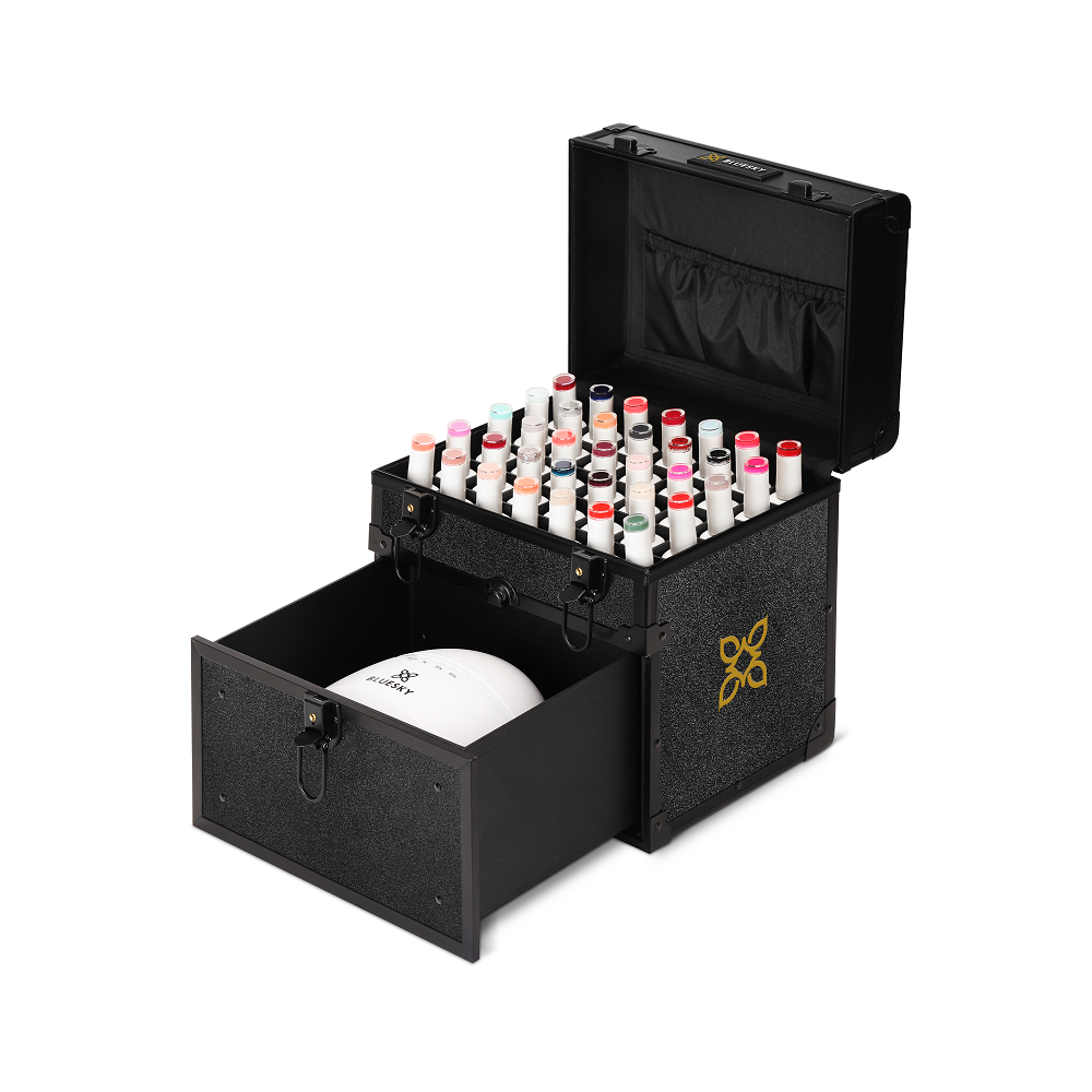 Bluesky Professional Briefcase Vol.2.