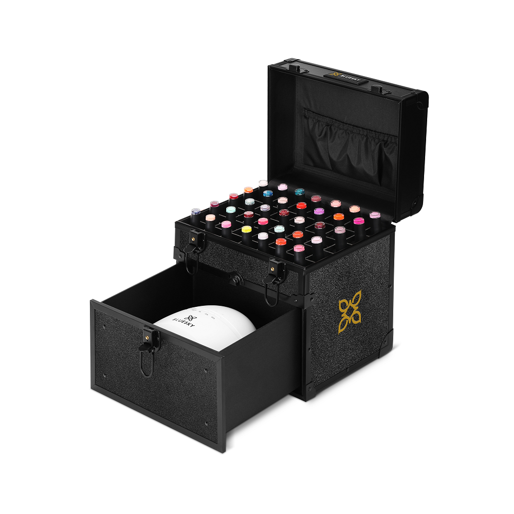 Bluesky Professional Briefcase Vol.2.