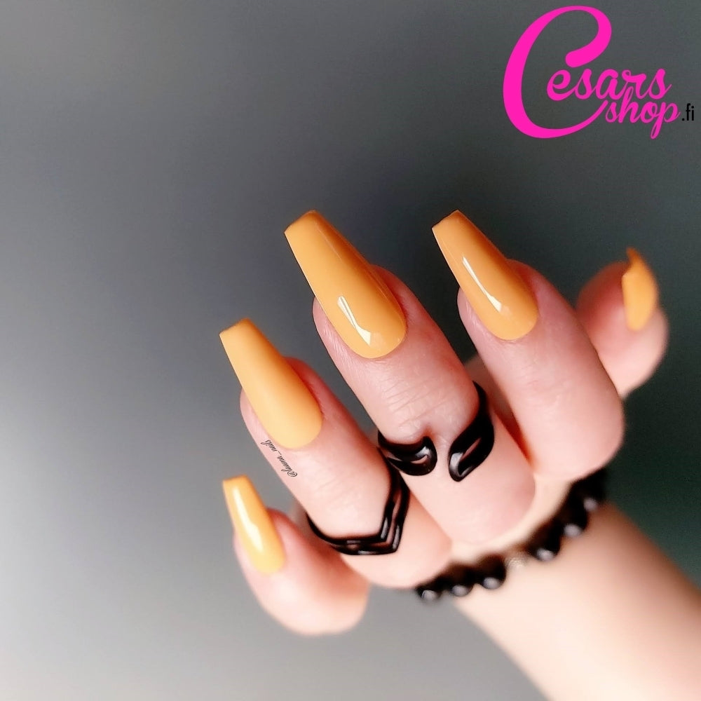 Bluesky Geelilakka, I Run This Show