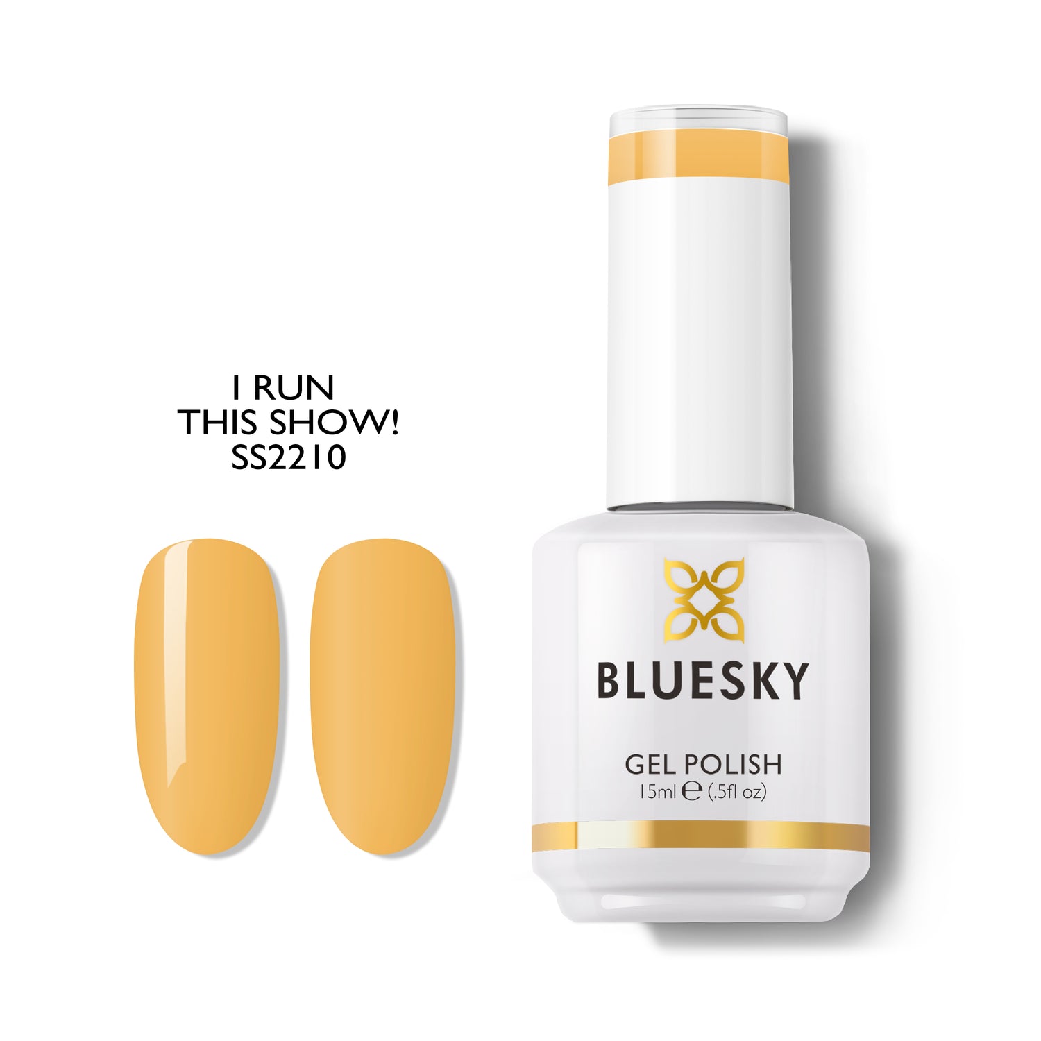 Bluesky Geelilakka, I Run This Show