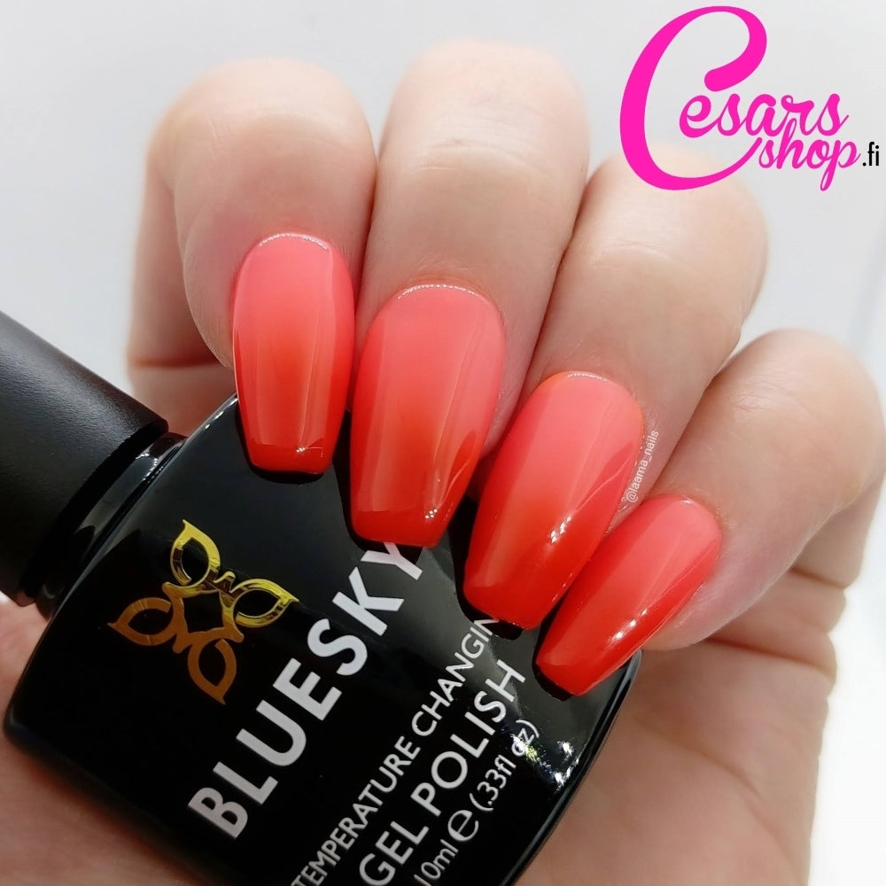 Bluesky Thermogel polish, Starfish Wishes