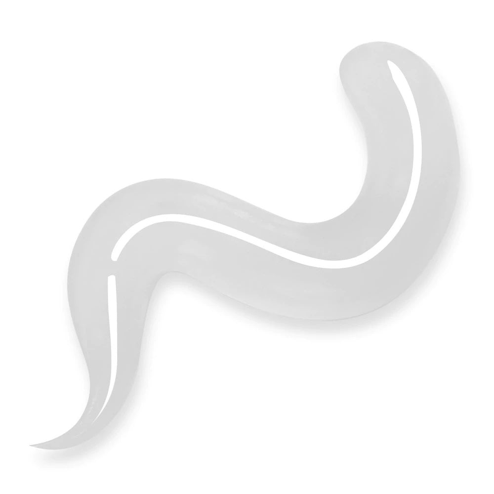 Bluesky Gum Acrygel, Clear