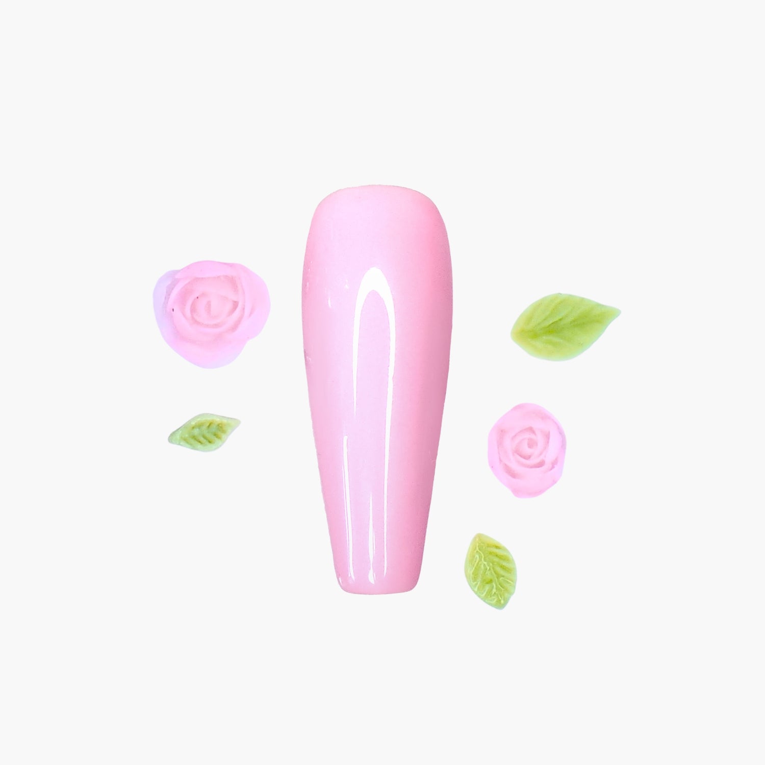 Koristerasia, Pastel Roses