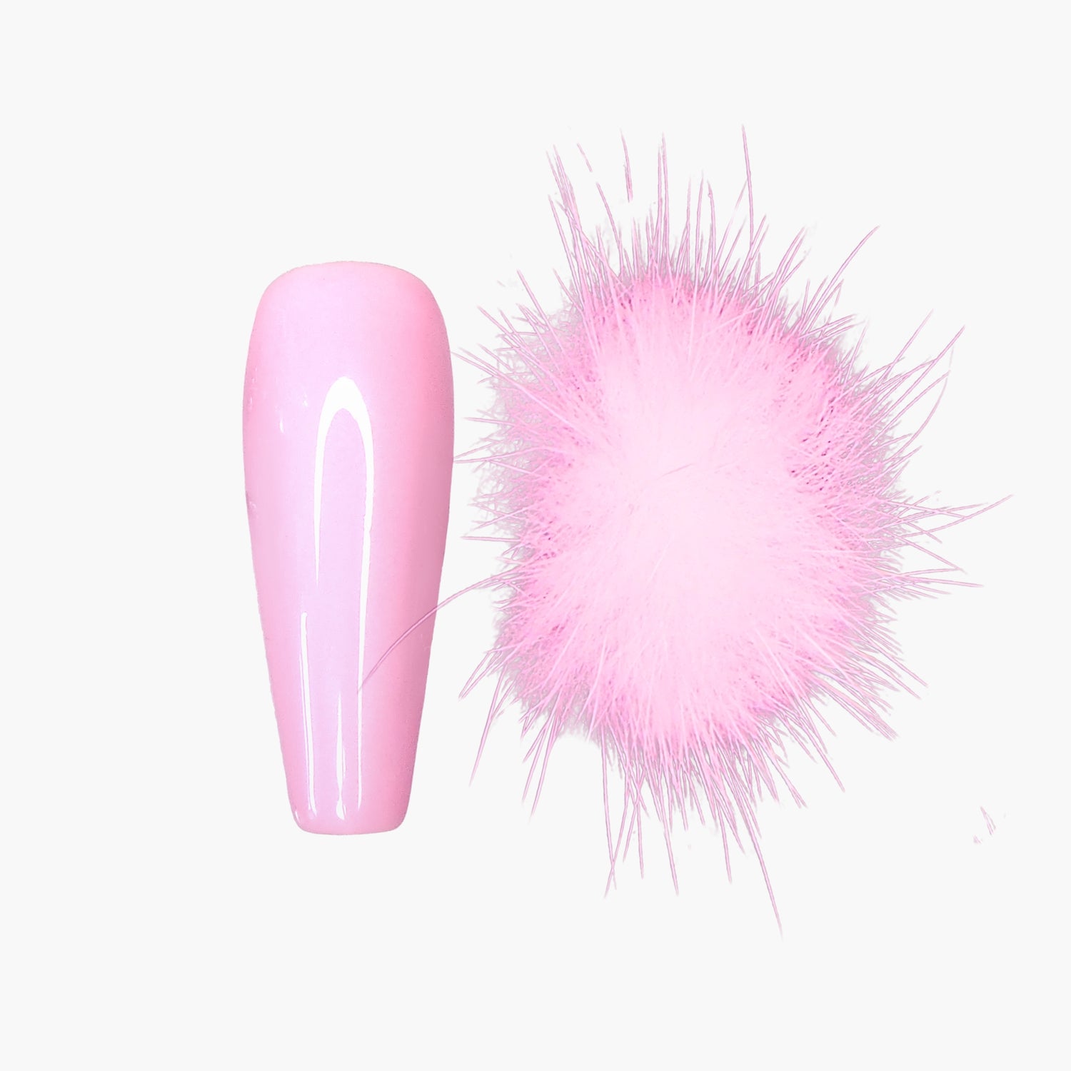 Kynsikoriste, Pom Pom 2 kpl