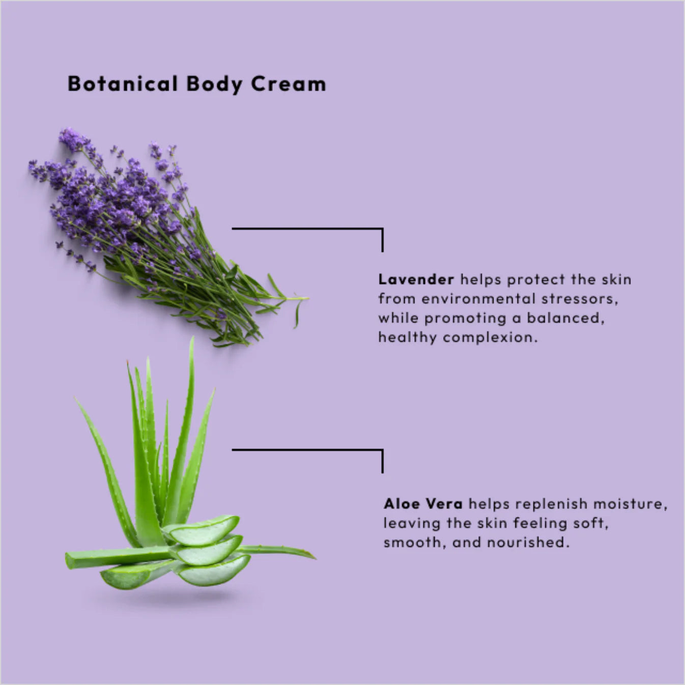 BCL Spa Serenity Body Cream, Lavender 88 ml