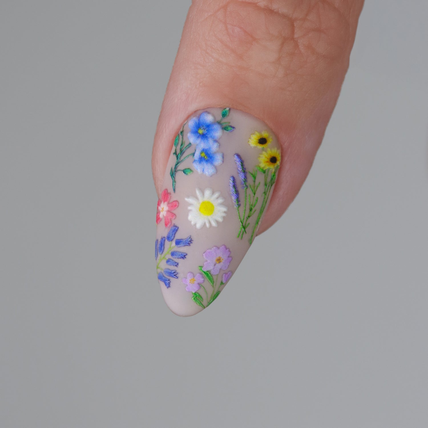 TOMONI Kynsitarrat, Flowers