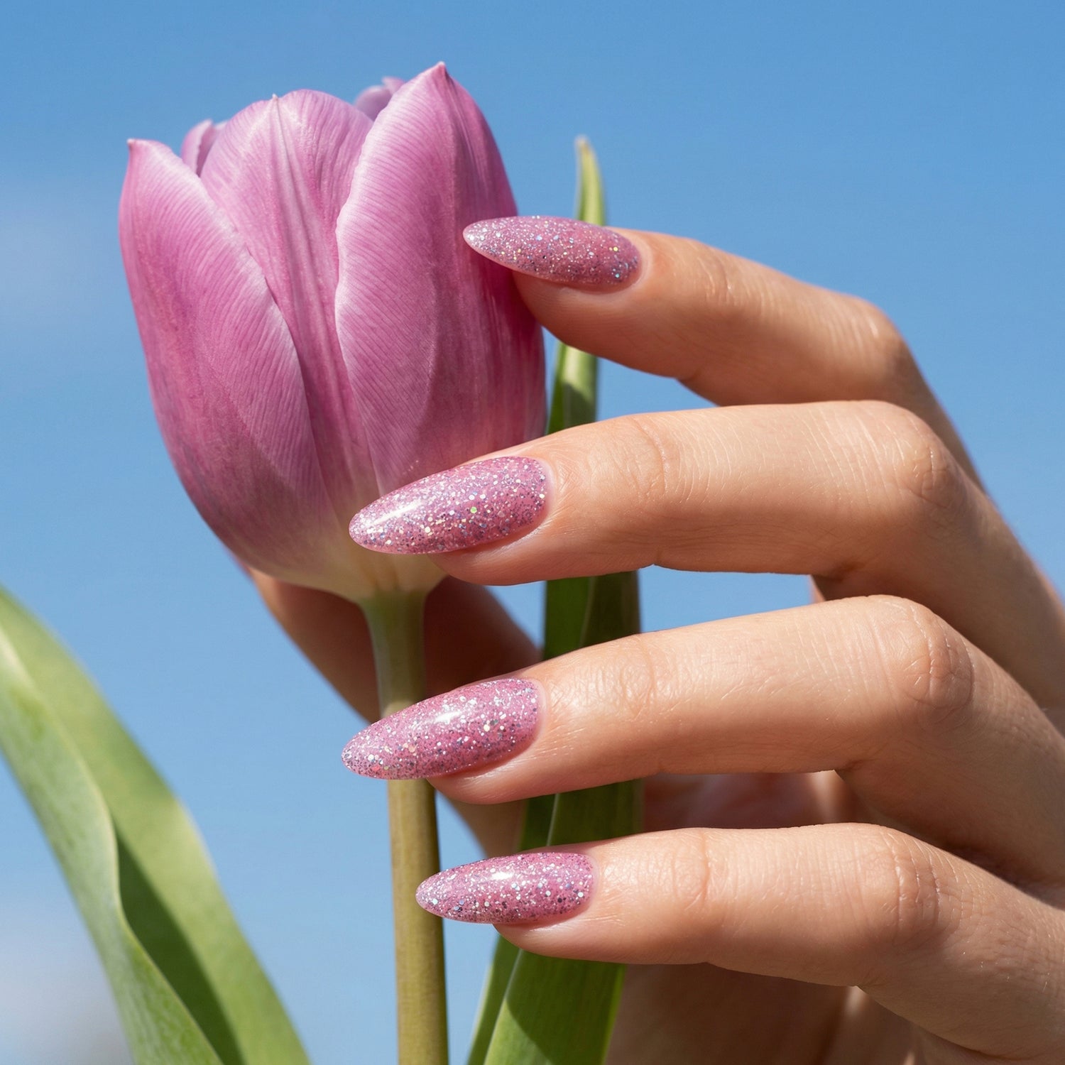 Bluesky Geelilakka, Blush Stardust