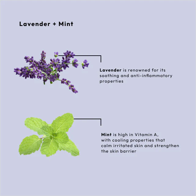 BCL Spa 4-in-1 Packet Box, Lavender + Mint