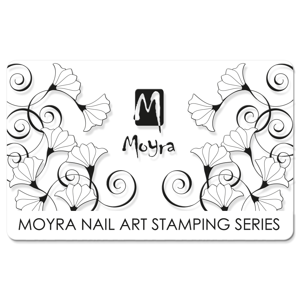 Moyra Scraper Clear