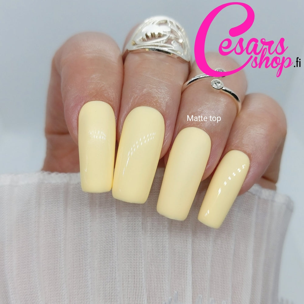 Bluesky Geelilakka, Desert Star