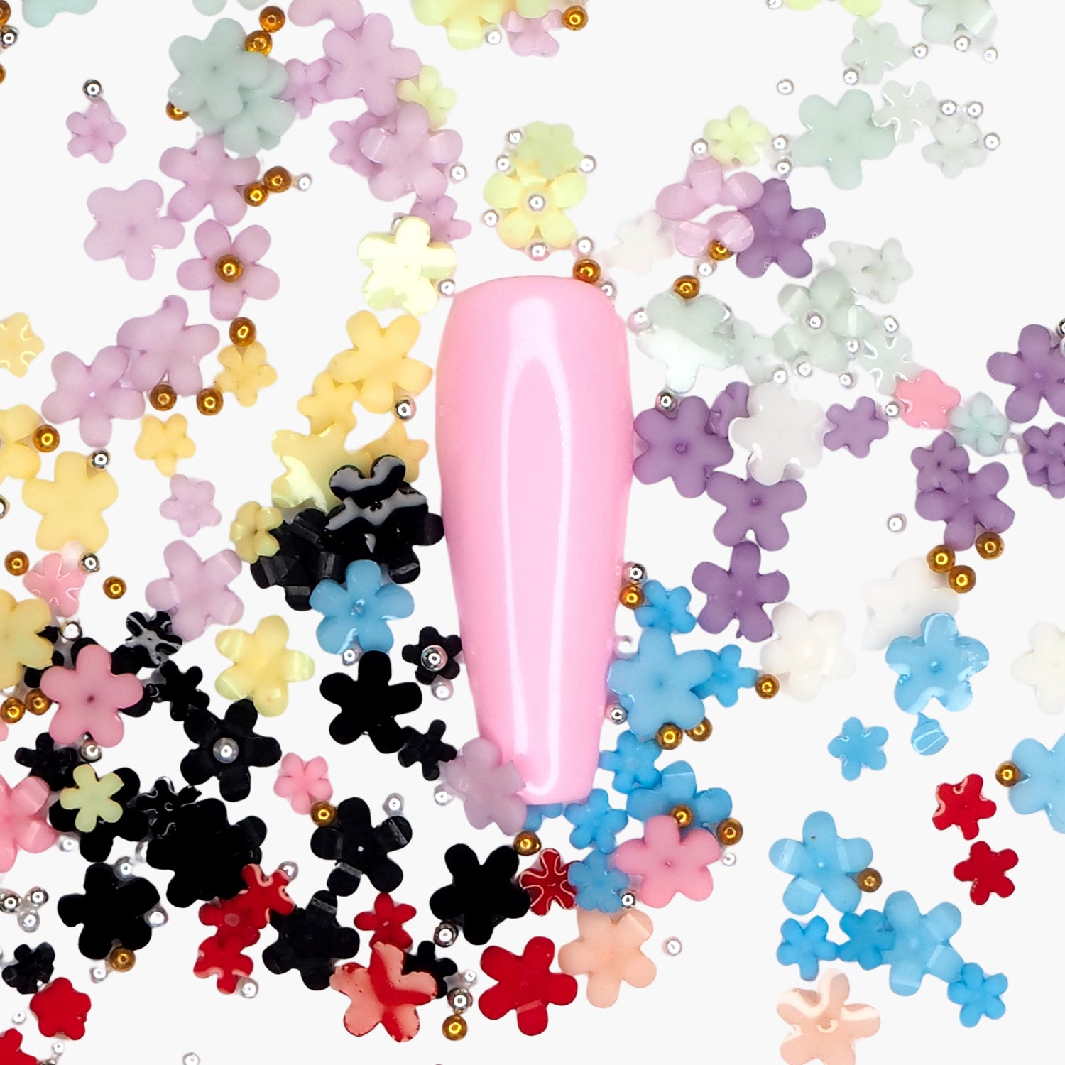 Koristerasia, Flowers