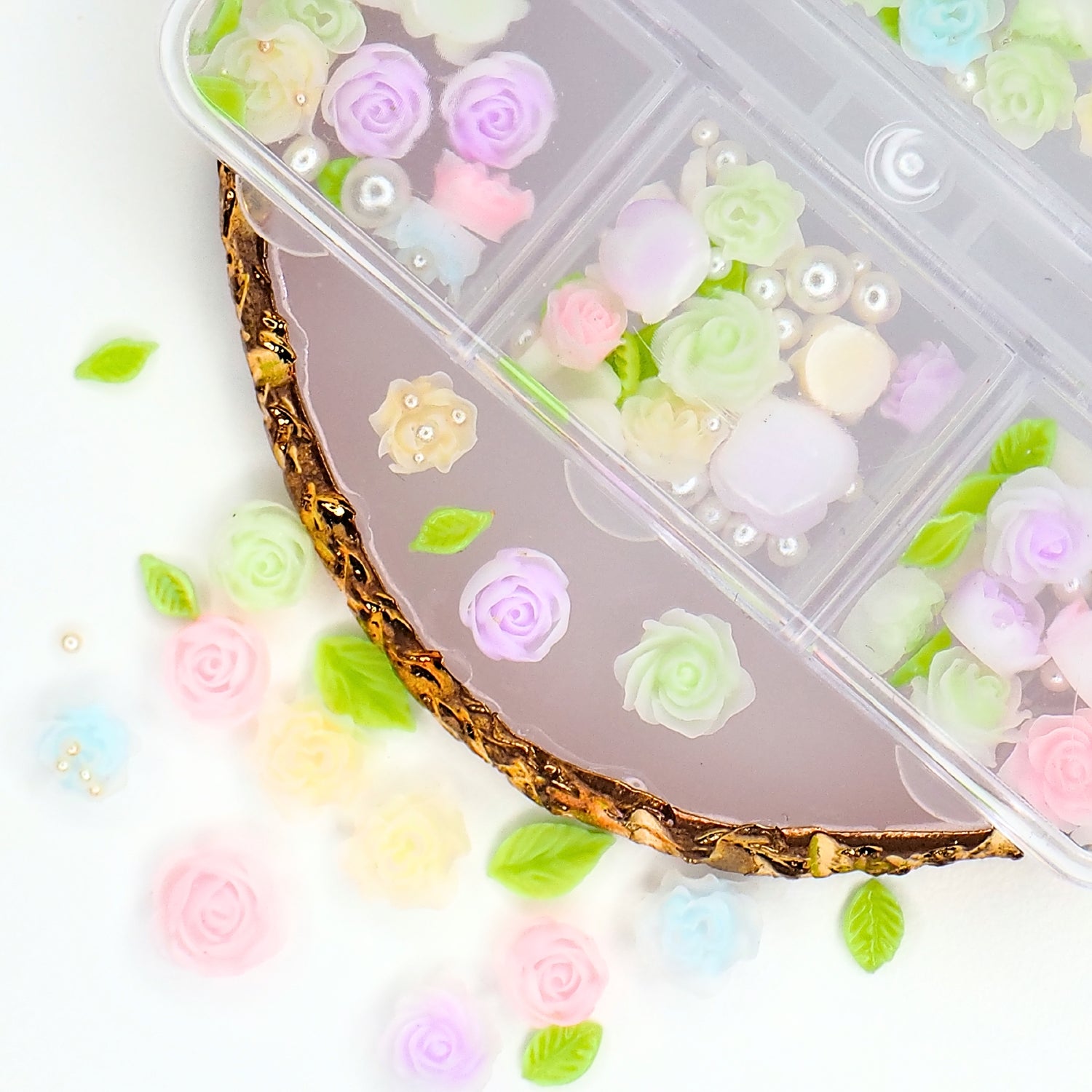 Koristerasia, Pastel Roses