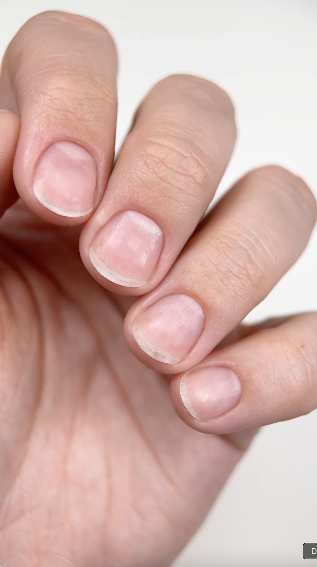 Perfect Cuticles - training 31.07.2025